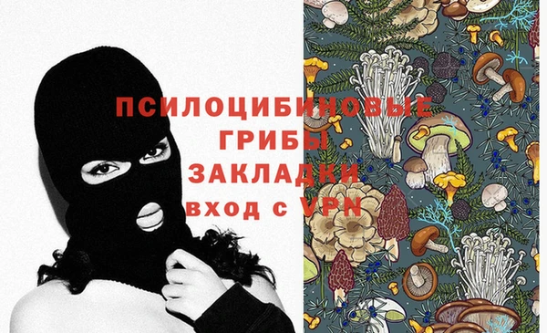 сатива Арсеньев