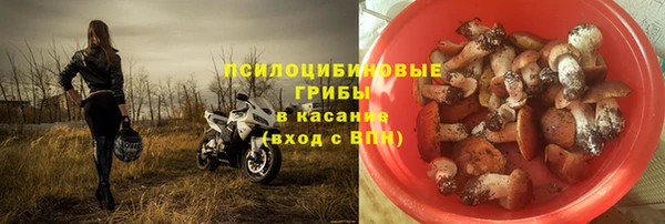 сатива Аркадак