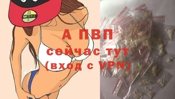 сатива Арсеньев