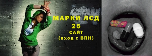 сатива Аркадак
