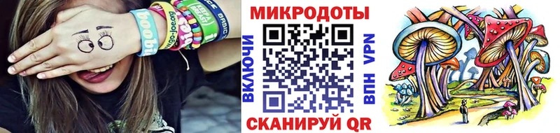 Псилоцибиновые грибы Psilocybine cubensis  Советский 